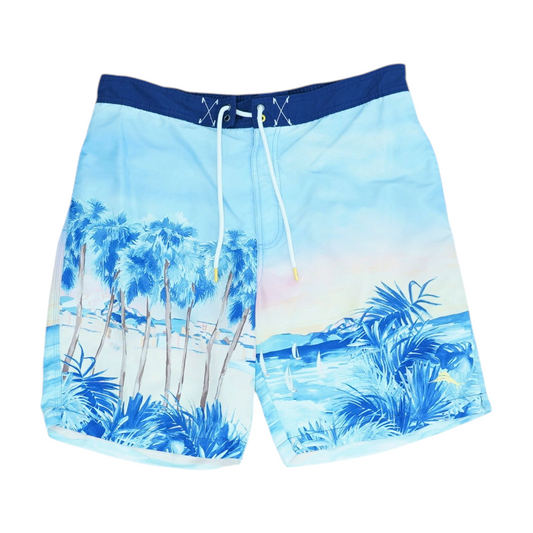 Blue Graphic Swim Bottom