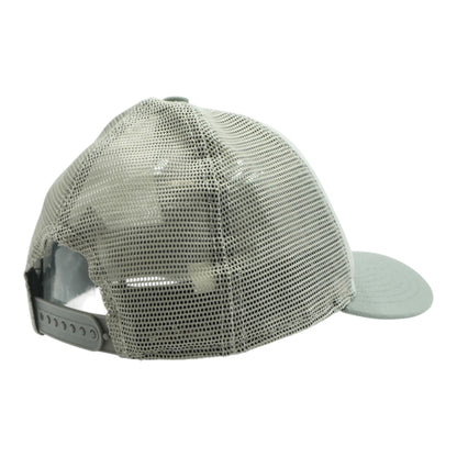 Gray New York Giants Ballcap