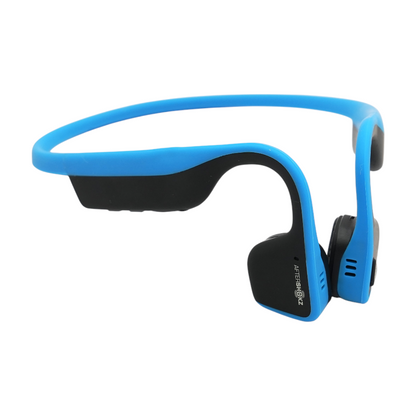 Blue Trekz Titanium Headphones