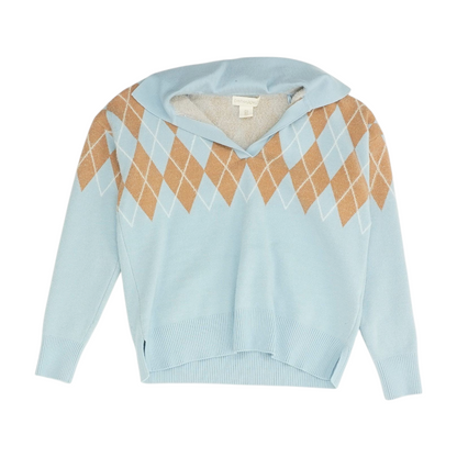 Blue Argyle Cardigan Sweater