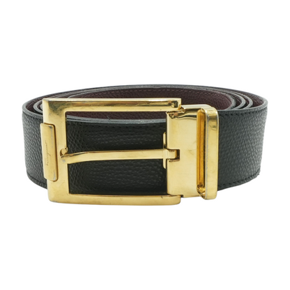 Reversible and Adjustable Belt
