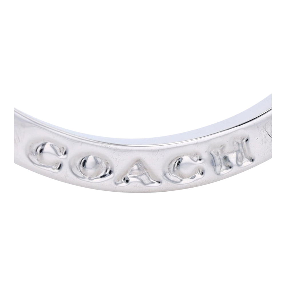 Costume Hoop Earrings