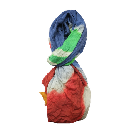 Etro Multi-Colored Scarf
