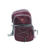 Maroon Backpack