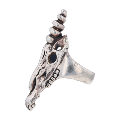 Sterling Silver Fashion Ring