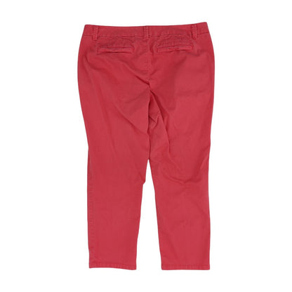 Pink Solid Chino Pants