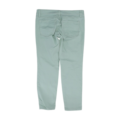 Green Petite Tapered Jeans