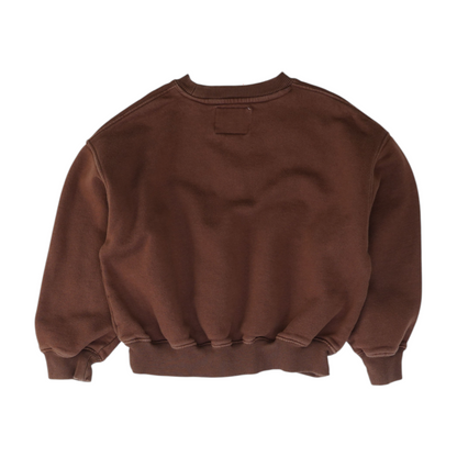 Brown Sweatshirt Pullover