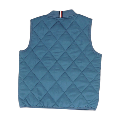 Blue Vest