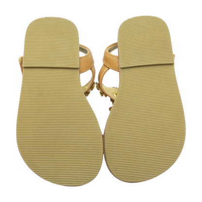 Brown Sandals Shoes