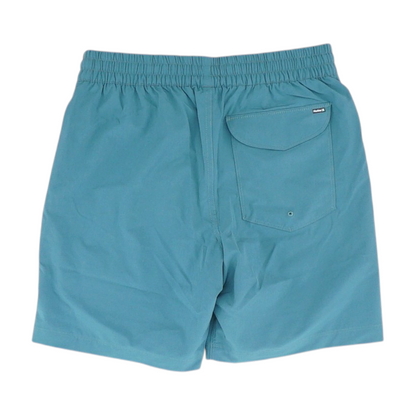 Blue Swim Bottom