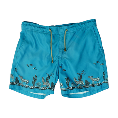 Blue Print Swim Bottom