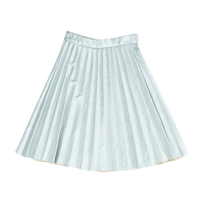 Silver Skirt