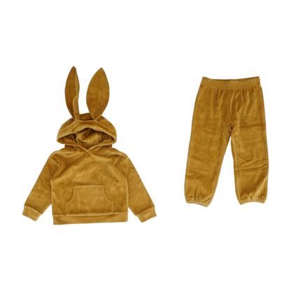 Brown Long Sleeve Set