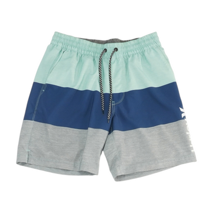 Multi Striped Swim Bottom