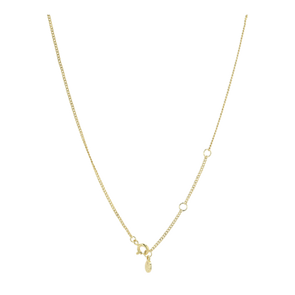 Costume Chain Necklace