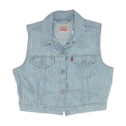 Blue Striped Button Down