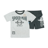 Gray Short Sleeve Set