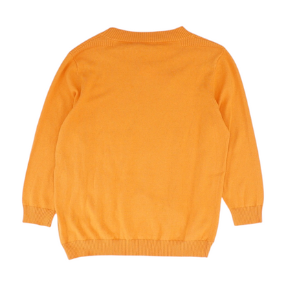 Orange Pullover Sweater
