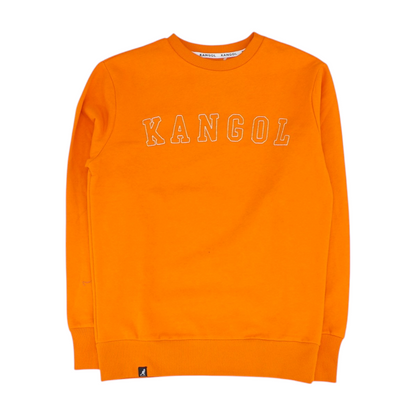 Neon Orange Solid Sweatshirt Pullover