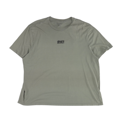 Gray Solid T-Shirt