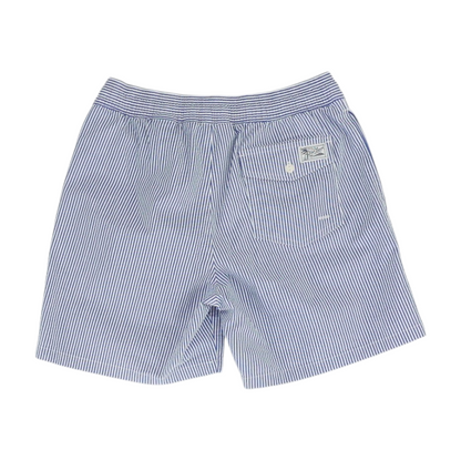 Blue Striped Chino Shorts