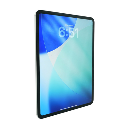 iPad Pro 11.0" Silver 5th Generation M4 512GB Carrier Unlocked Tablet