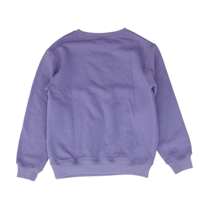 Purple Sweatshirt Pullover