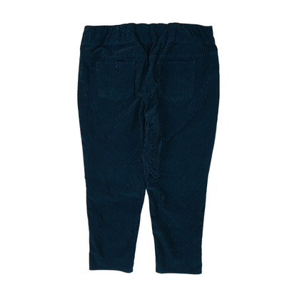 Teal Plus Regular Pants
