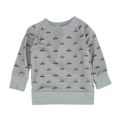 Gray Graphic Sweatshirt Pullover
