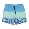 Blue Color Block Swim Bottom