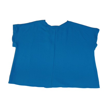 Blue Blouse