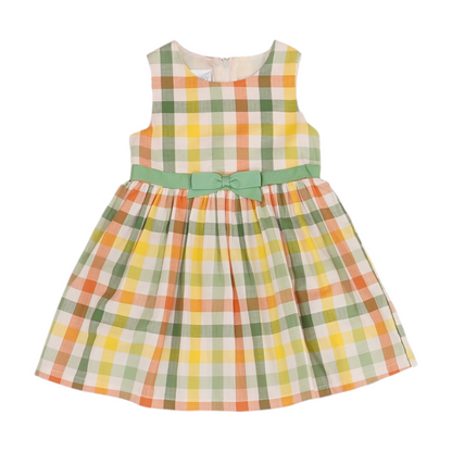 Multi Check Dress