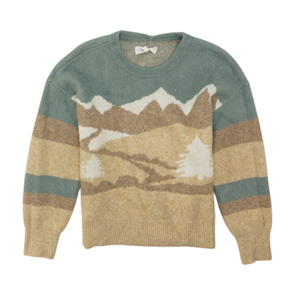 Multi Petite Graphic Pullover Sweater