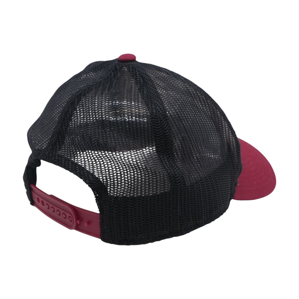 Multi Houston Astros Ballcap