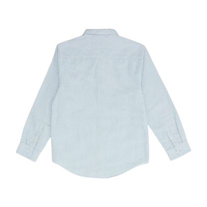 Blue Striped Long Sleeve Button Down