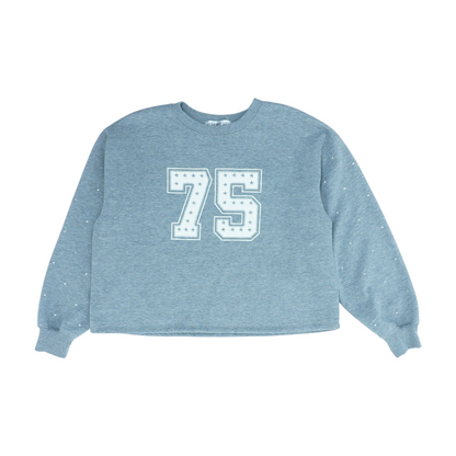 Gray Solid Sweatshirt Pullover