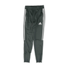 Gray Regular Pants