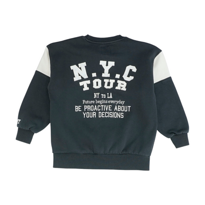 Gray Color Block Sweatshirt Pullover