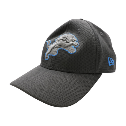 Gray Detroit Lions Ballcap Hat