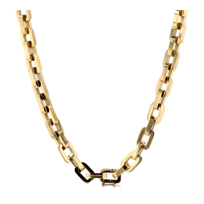 Costume Chain Necklace