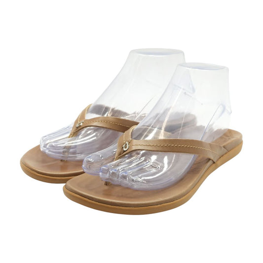 Brown Flip Flop Sandals