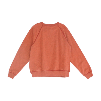 Rust Sweatshirt Pullover