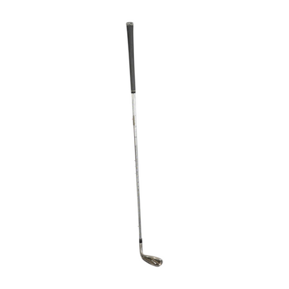 Sim2 P Iron