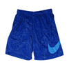Blue Print Active Shorts