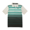 Multi Striped Short Sleeve Polo