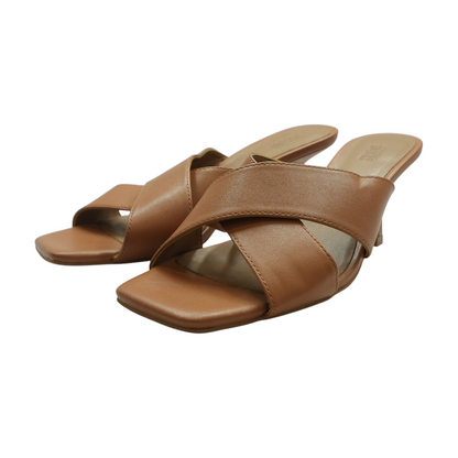 Brown Flats