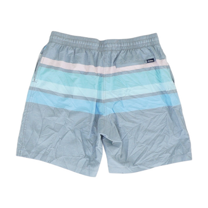 Gray Striped Swim Bottom