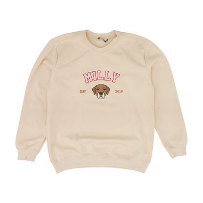 Beige Solid Sweatshirt Pullover