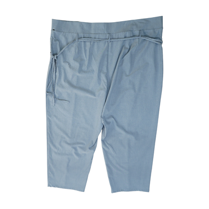 Blue Plus Regular Pants